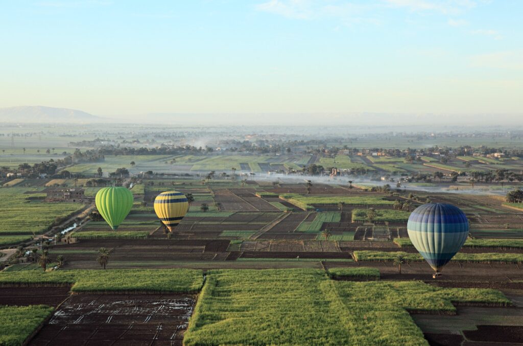 Hot air balloons over fields near luxor